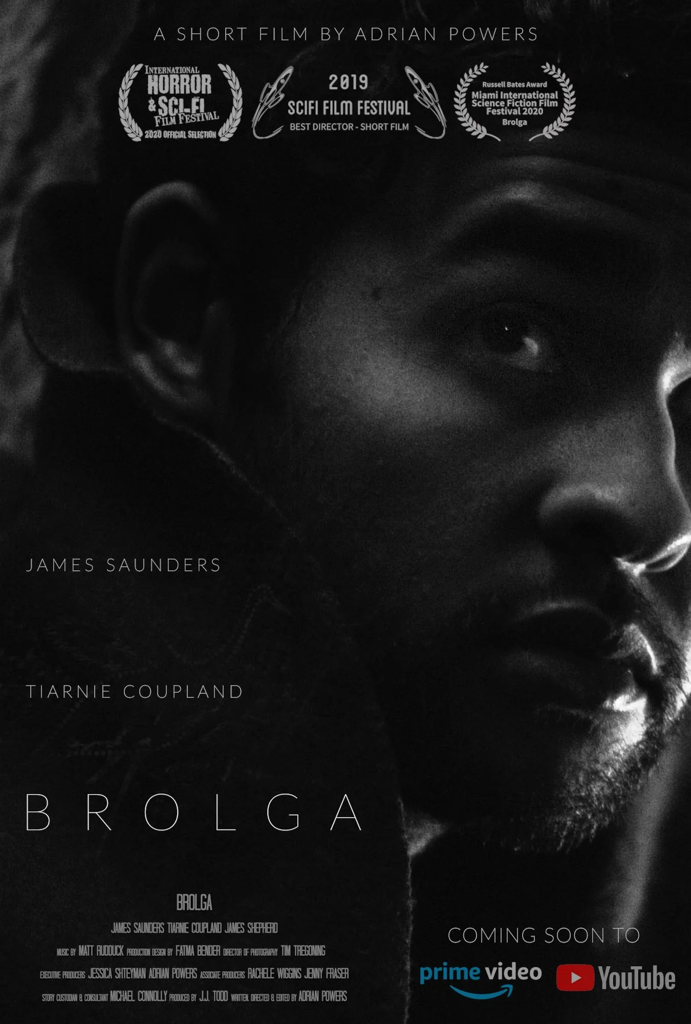 Brolga poster